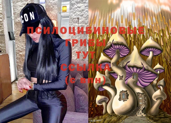 таблы Алзамай