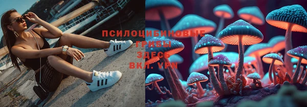 трава Алексин