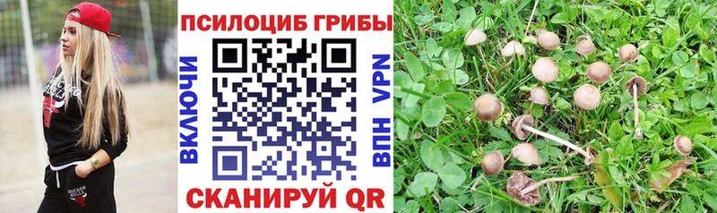 дарнет шоп  Разумное  Псилоцибиновые грибы мухоморы 